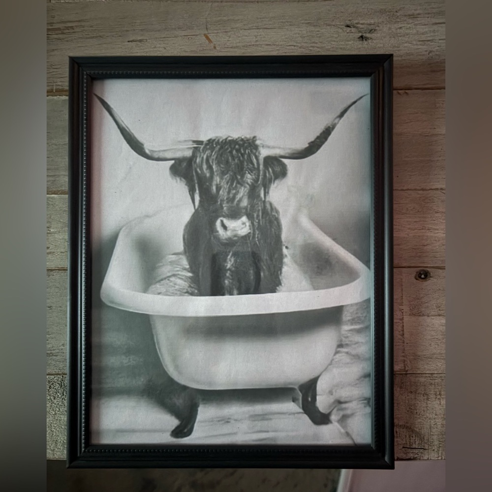 Highland Cow in the Tub BW framed 8x10 print